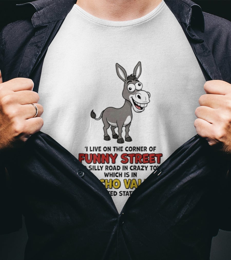 Donkey I Live On The Corner Of Funny Street And Silly Road In Crazy Town Psycho Valley In A Twisted State Of Mind T-Shirt