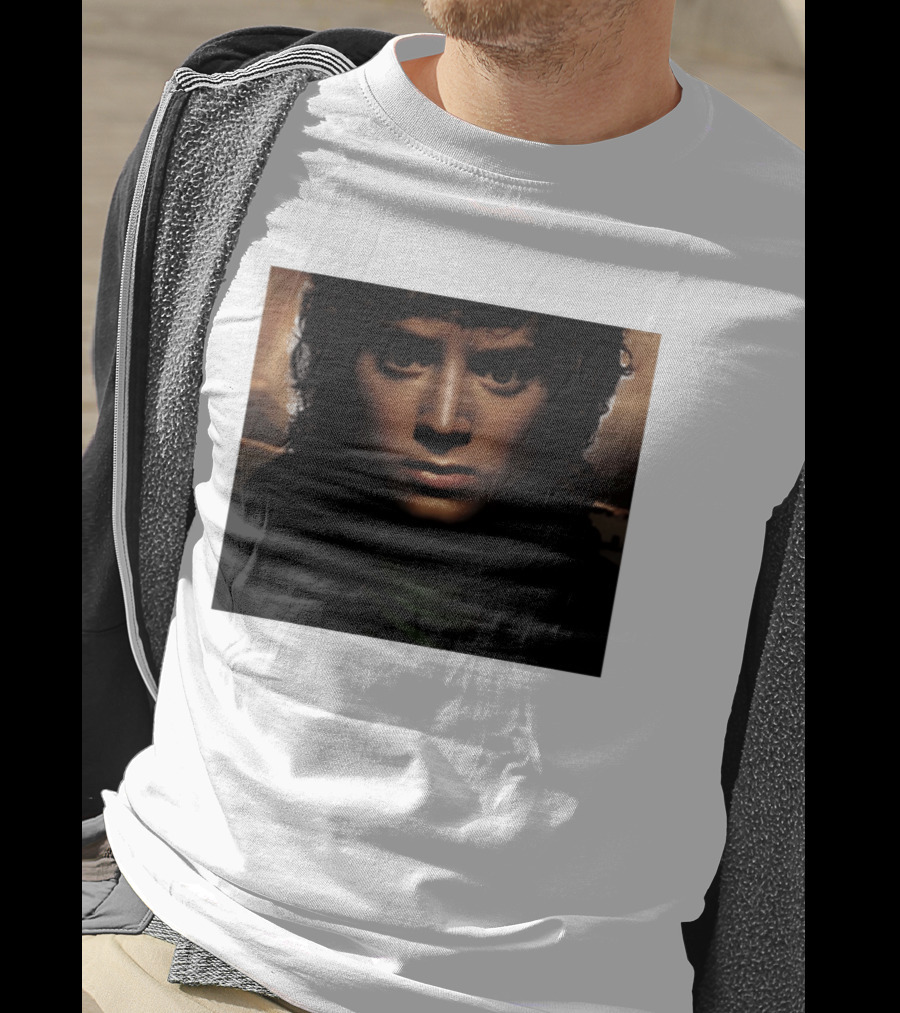 Frodo Baggins The Lord Of The Rings T-Shirt