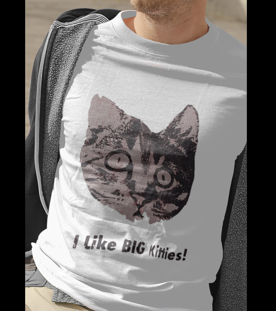 I Like Big Kitties Cat Lover Feline Enthusiast Funny Display T-Shirt