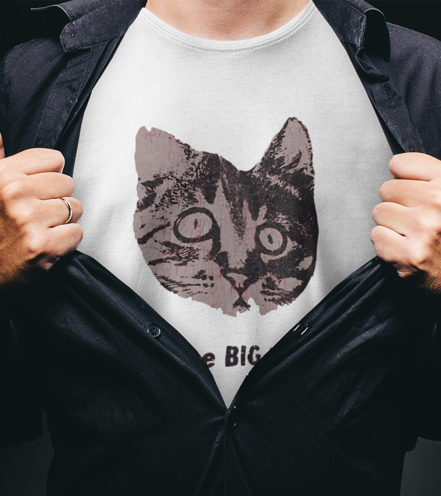 I Like Big Kitties Cat Lover Feline Enthusiast Funny Display T-Shirt