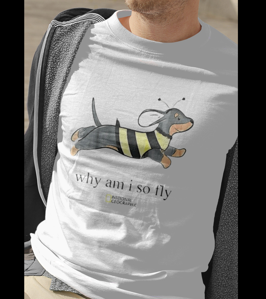 Why Am I So Fly Dachshund Bee National Geographic T-Shirt