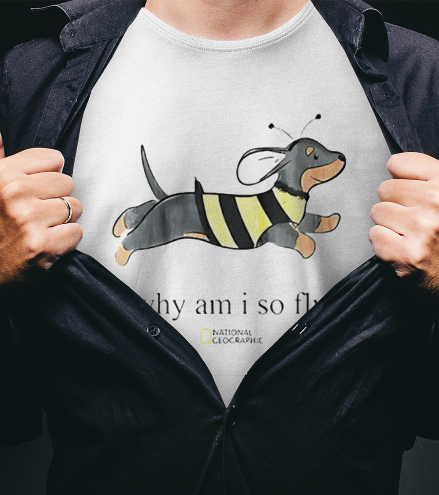 Why Am I So Fly Dachshund Bee National Geographic T-Shirt