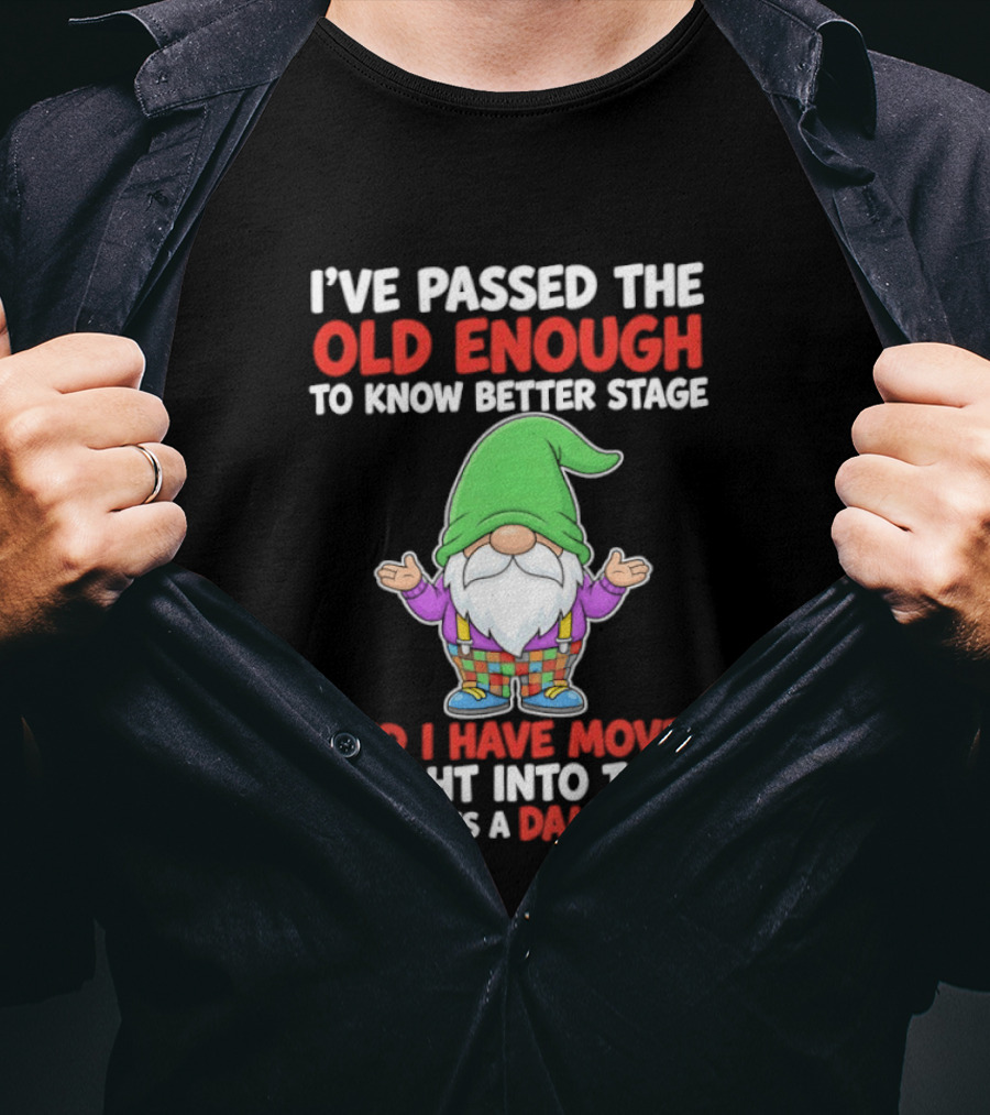 I've Passed The Old Enough To Know Better Gnome And Moved Into Who Gives A Damn Stage T-Shirt