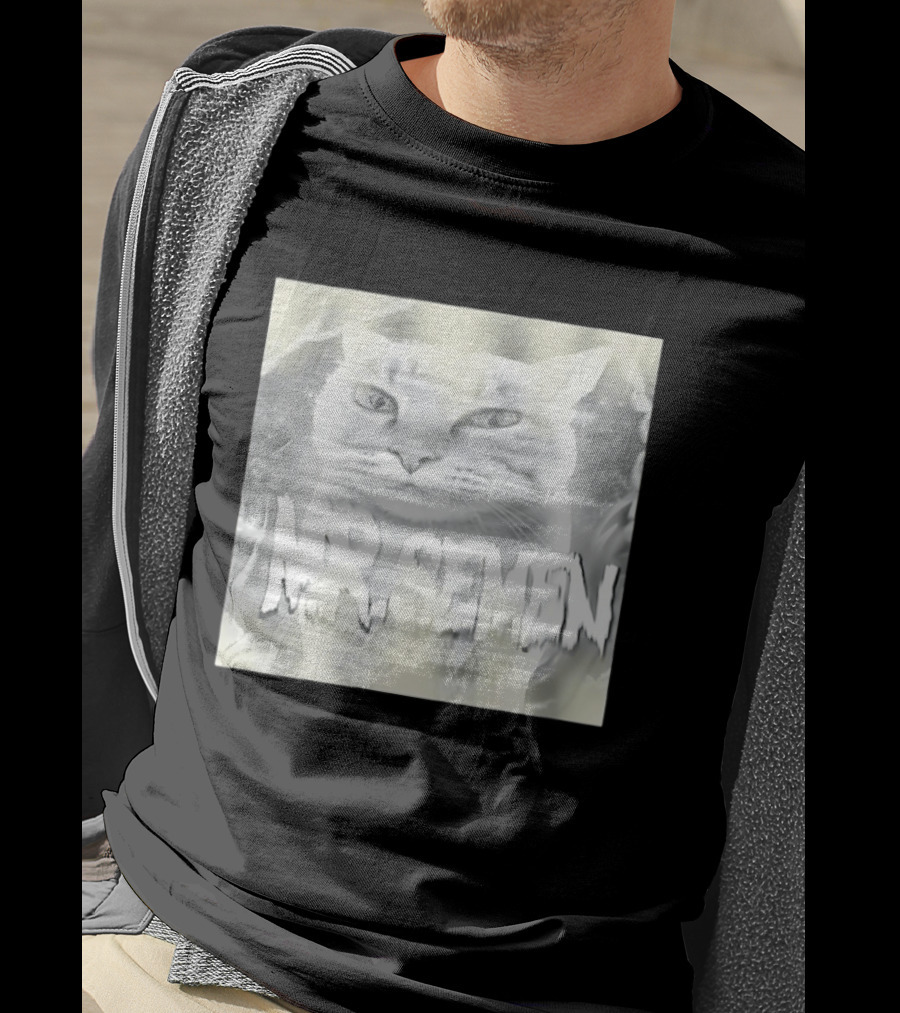 Mr. Semen Cat Meme Humor Text And Image T-Shirt