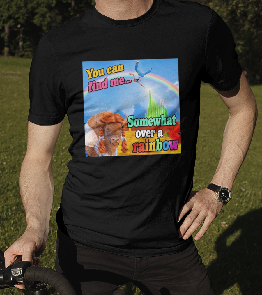 You Can Find Me Somewhat Over A Rainbow Bison Meme T-Shirt