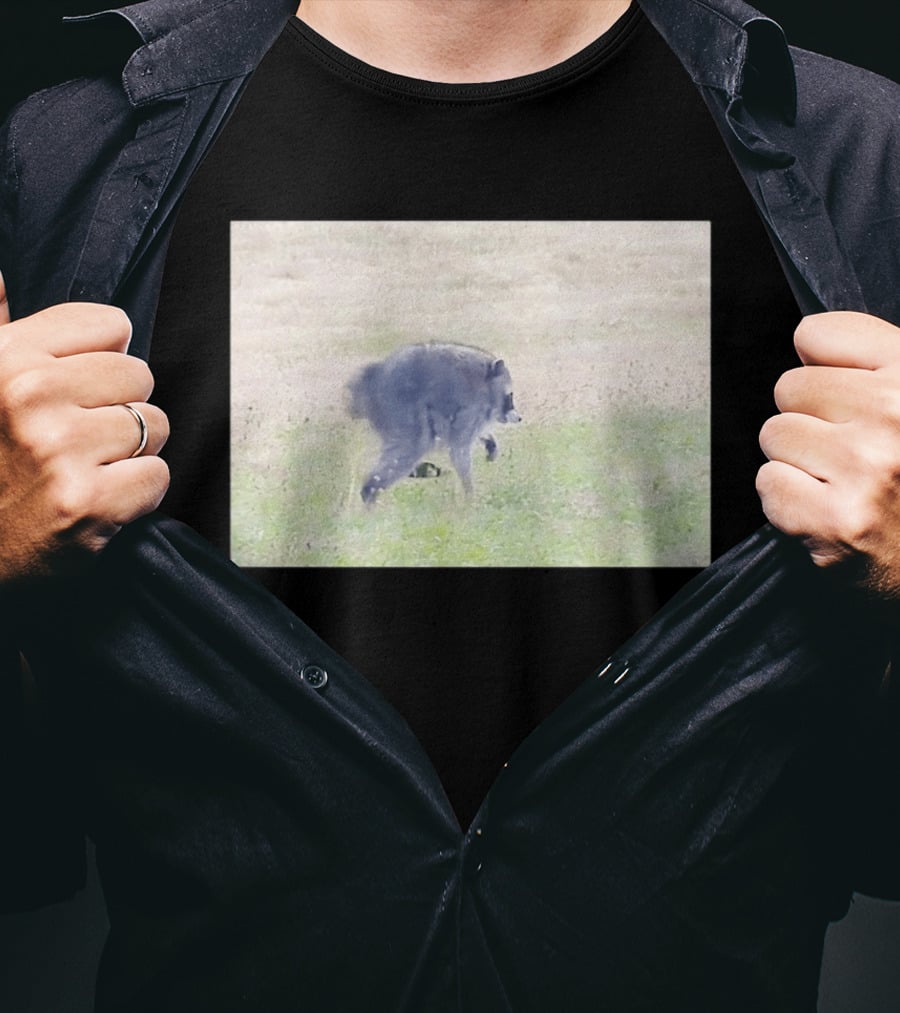 Jimothy Raccoon Walking In Grassy Field Wildlife Scene T-Shirt