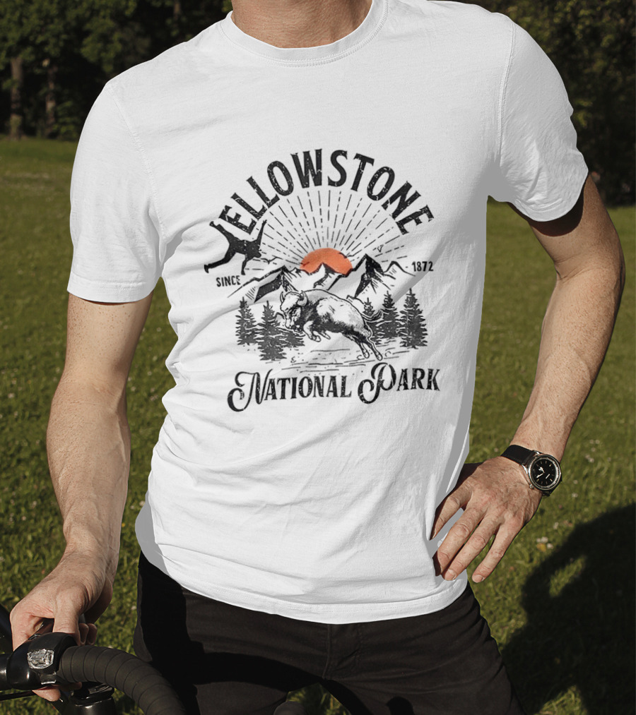 Yellowstone National Park Bison Accident Since 1872 T-Shirt