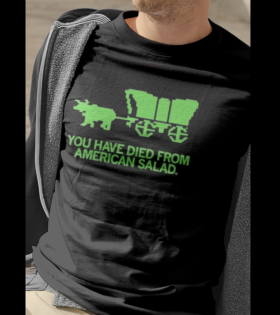 You Have Died From American Salad Ox Cart Retro Gaming Spoof T-Shirt