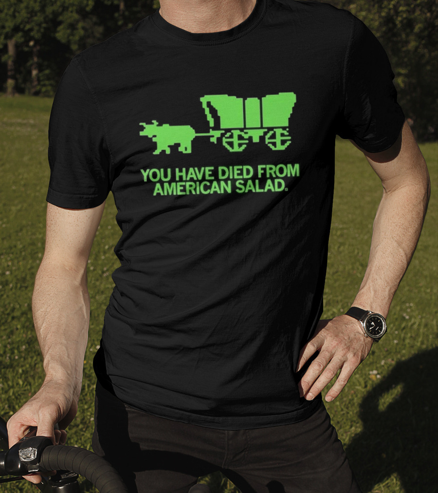 You Have Died From American Salad Ox Cart Retro Gaming Spoof T-Shirt