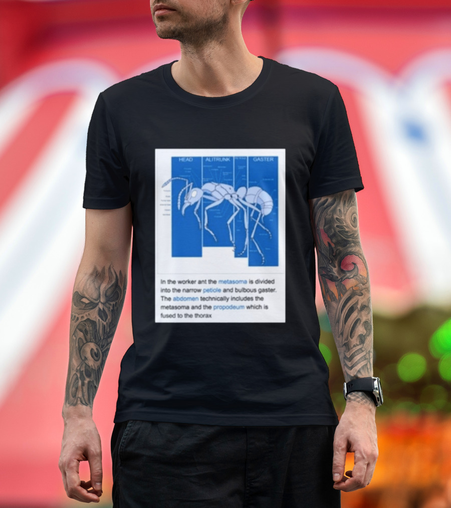 Head Alitrunk Gaster Metasoma Petiole Anatomy Of An Ant T-Shirt