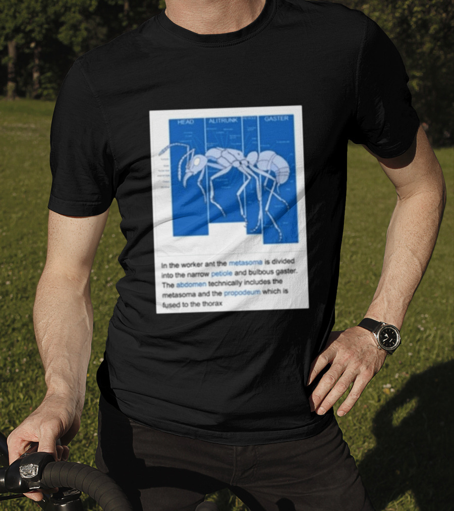 Head Alitrunk Gaster Metasoma Petiole Anatomy Of An Ant T-Shirt