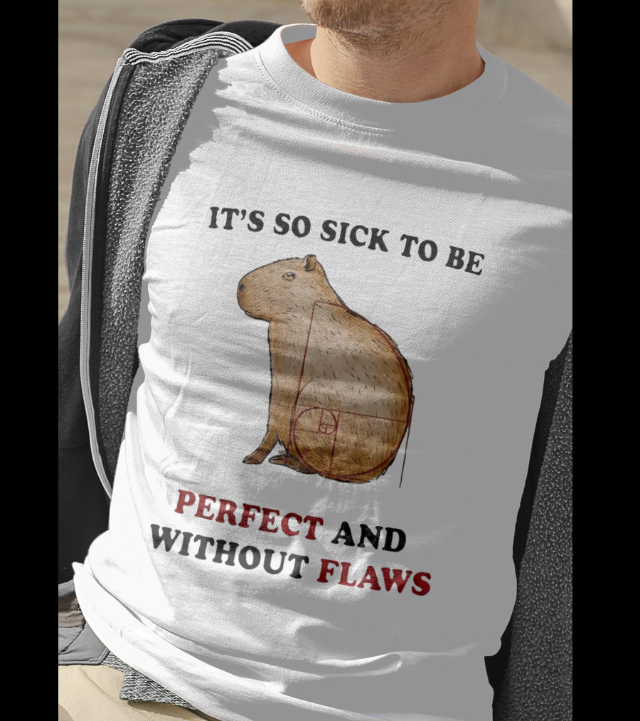 Capybara It's So Sick To Be Perfect And Without Flaws Fibonacci Spiral T-Shirt