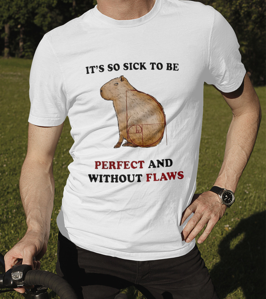 Capybara It's So Sick To Be Perfect And Without Flaws Fibonacci Spiral T-Shirt