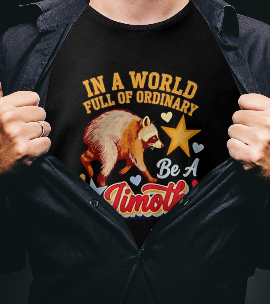 In A World Full Of Ordinary Be A Jimothy Raccoon Stars Hearts T-Shirt