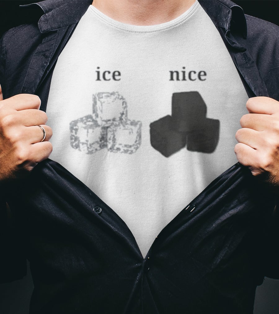 Ice Vs Nice Cubes Playful Word T-Shirt