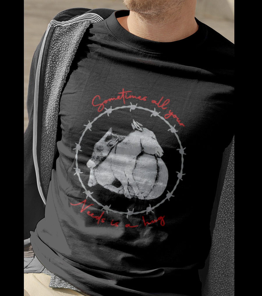 Sometimes All Your Needs Is A Hug Cuddling Donkeys Barbed Wire T-Shirt