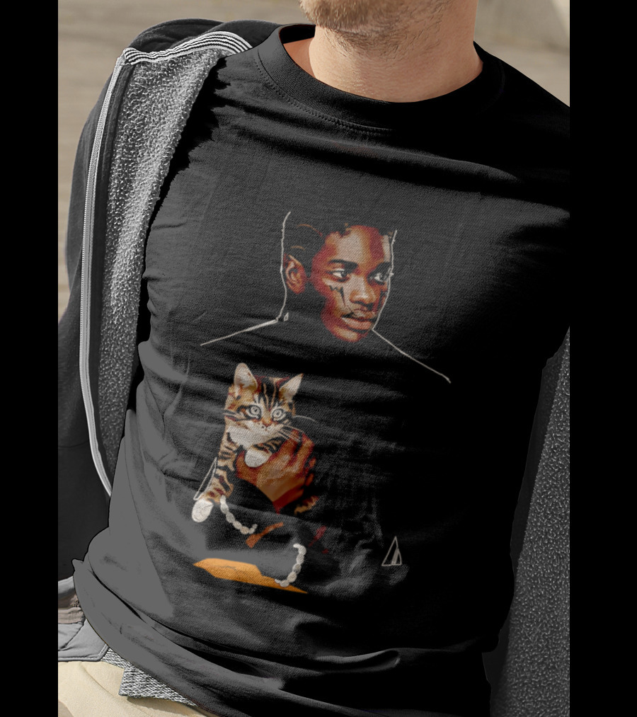 Young Man Holding A Tabby Cat Painting T-Shirt