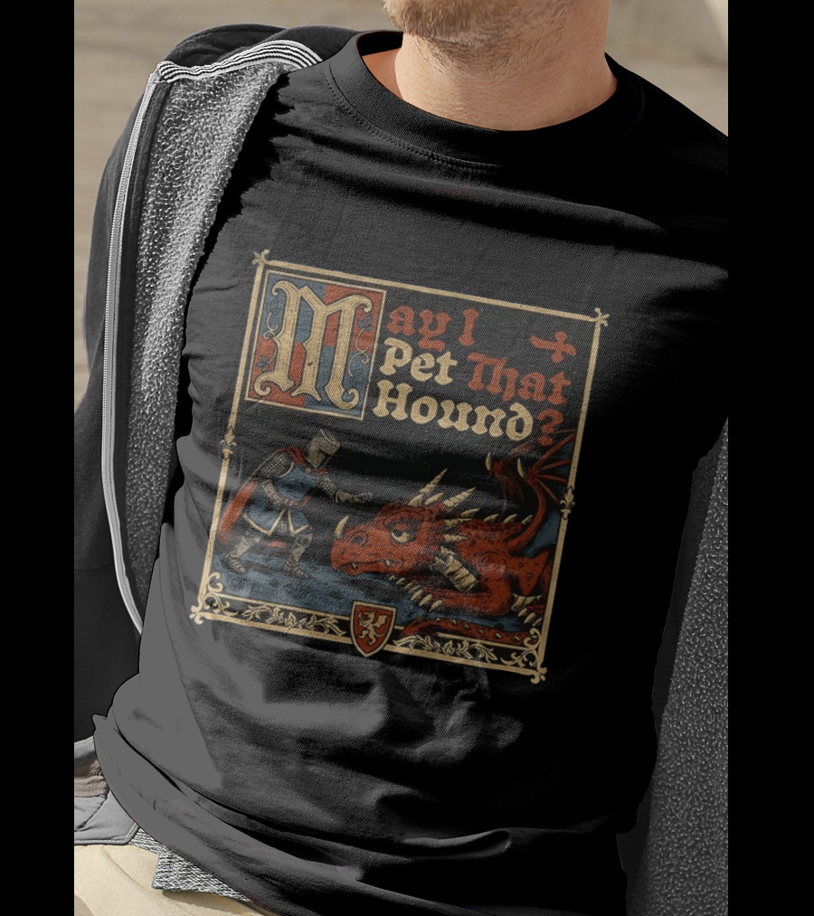 May I Pet That Hound Medieval Knight And Dragon Meme T-Shirt