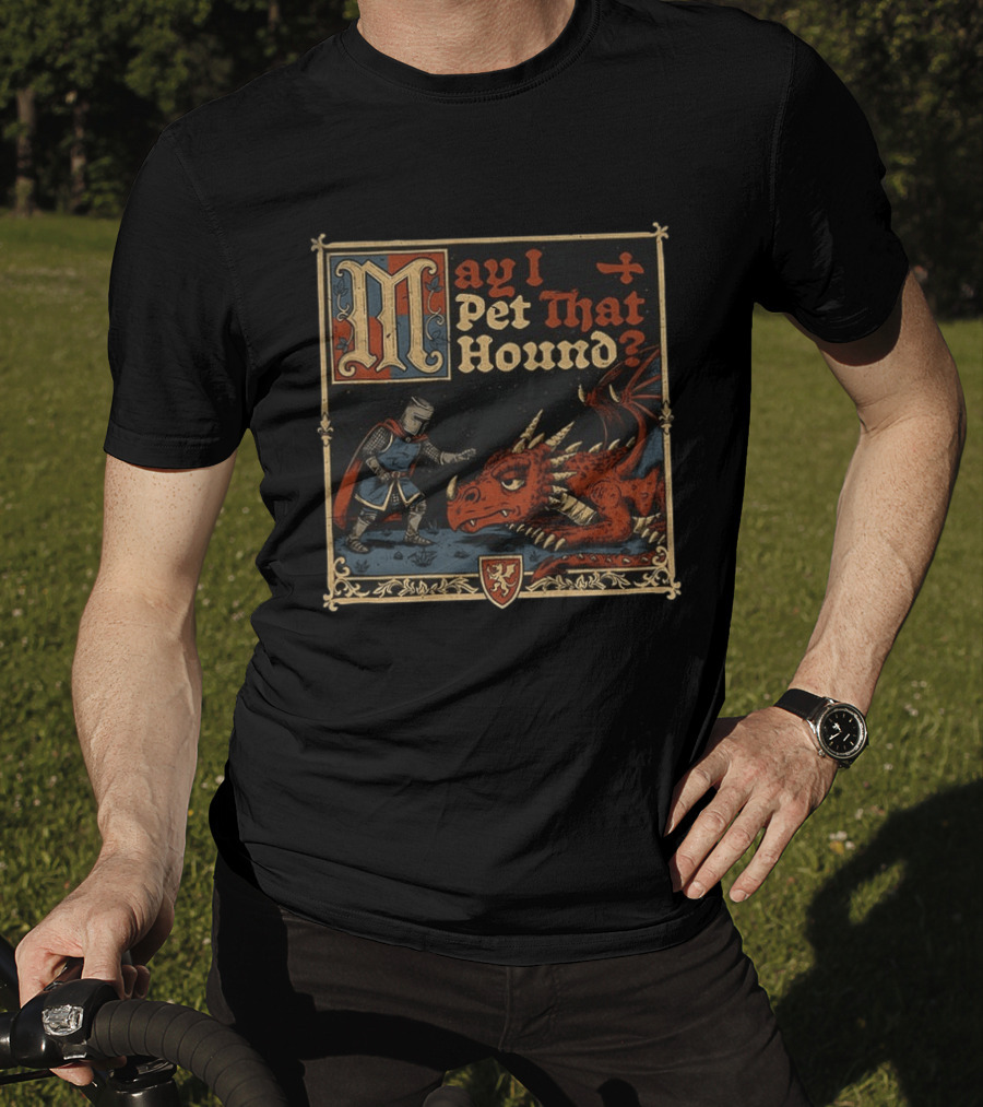 May I Pet That Hound Medieval Knight And Dragon Meme T-Shirt