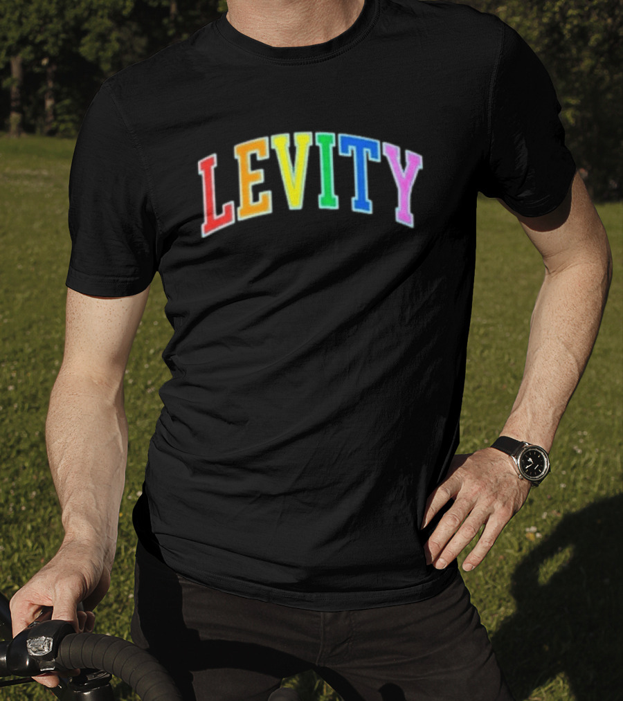 Levity You Will Now Experience Levity T-Shirt
