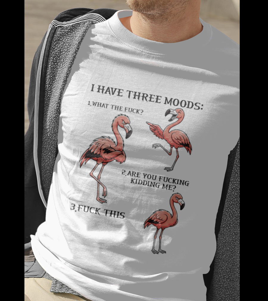I Have Three Moods What The Fuck Are You Fucking Kidding Me Fuck This Flamingo T-Shirt