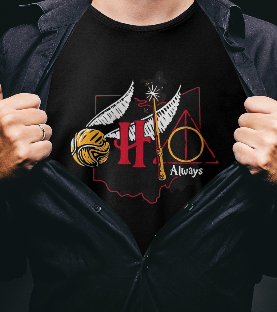 Harry Potter Hogwarts Hedwig Quidditch Golden Snitch Deathly Hallows Always T-Shirt