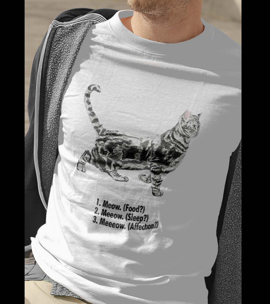 Meow Food Meeow Sleep Meeeow Affection Cat Lovers Humor T-Shirt
