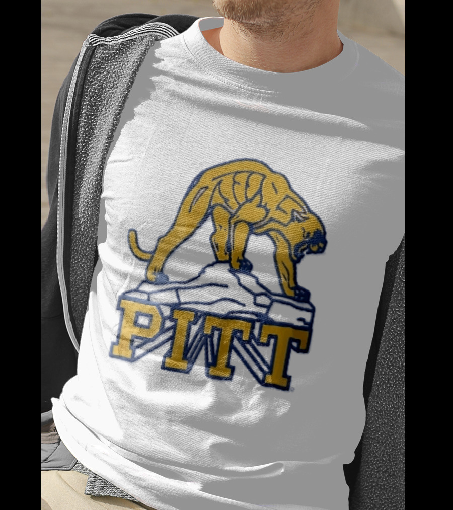 Pittsburgh Panthers Pitt Gold Panther Standing On Rock T-Shirt
