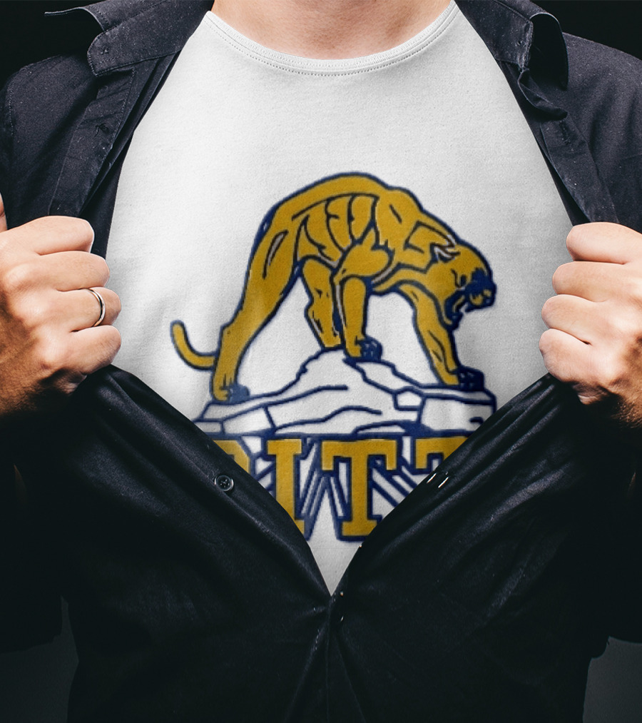 Pittsburgh Panthers Pitt Gold Panther Standing On Rock T-Shirt