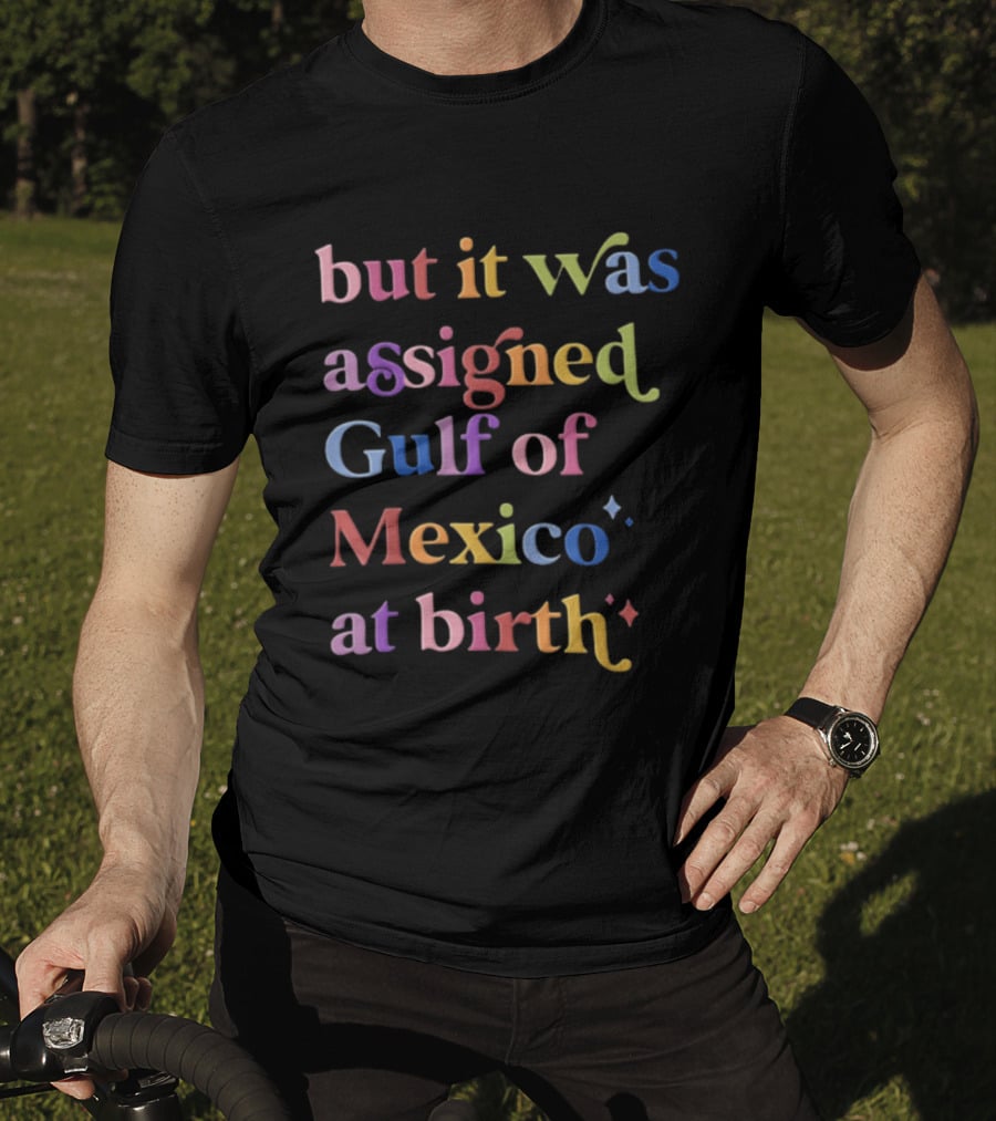 But It Was Assigned Gulf Of Mexico At Birth Rainbow T-Shirt