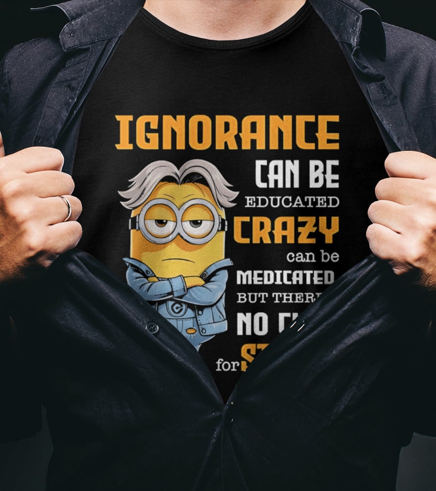 Ignorance Can Be Educated Crazy Can Be Medicated No Cure For Stupid Minion T-Shirt