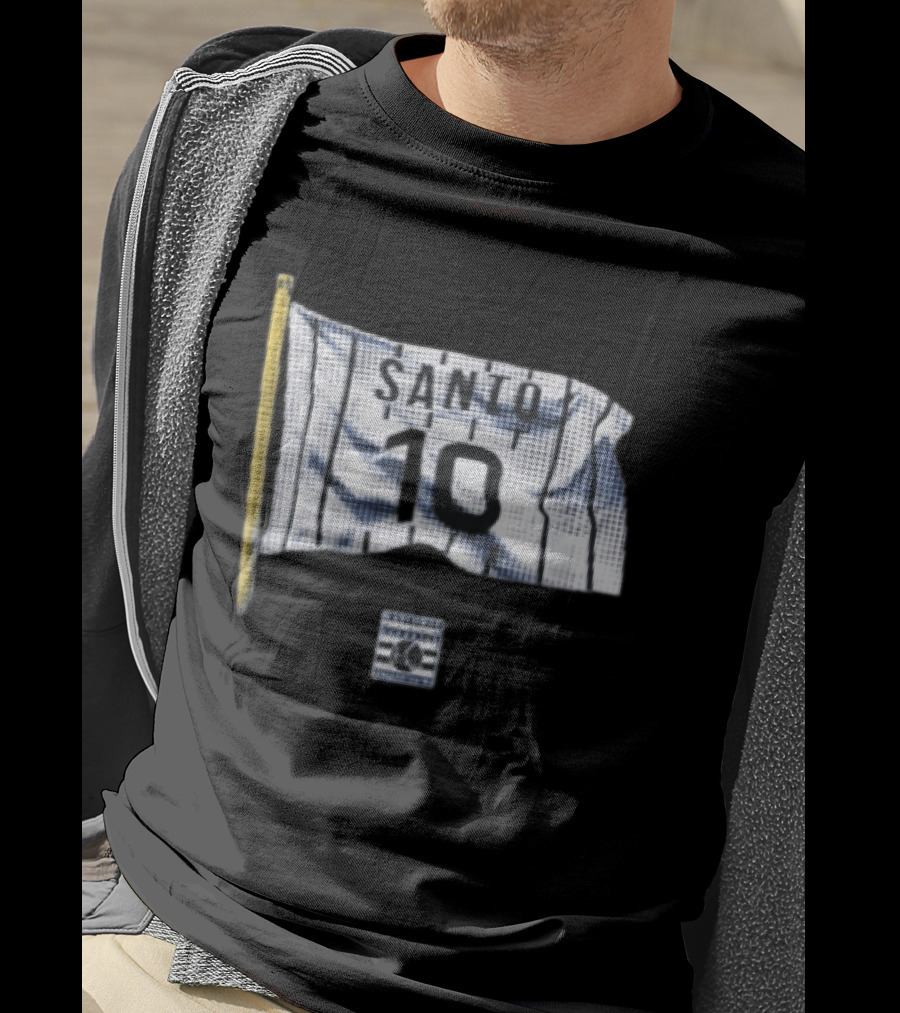 Santo 10 Baseball Hall Of Fame Pinstripe Flag T-Shirt