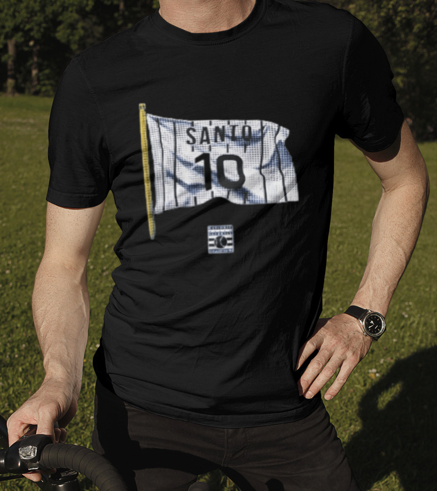 Santo 10 Baseball Hall Of Fame Pinstripe Flag T-Shirt
