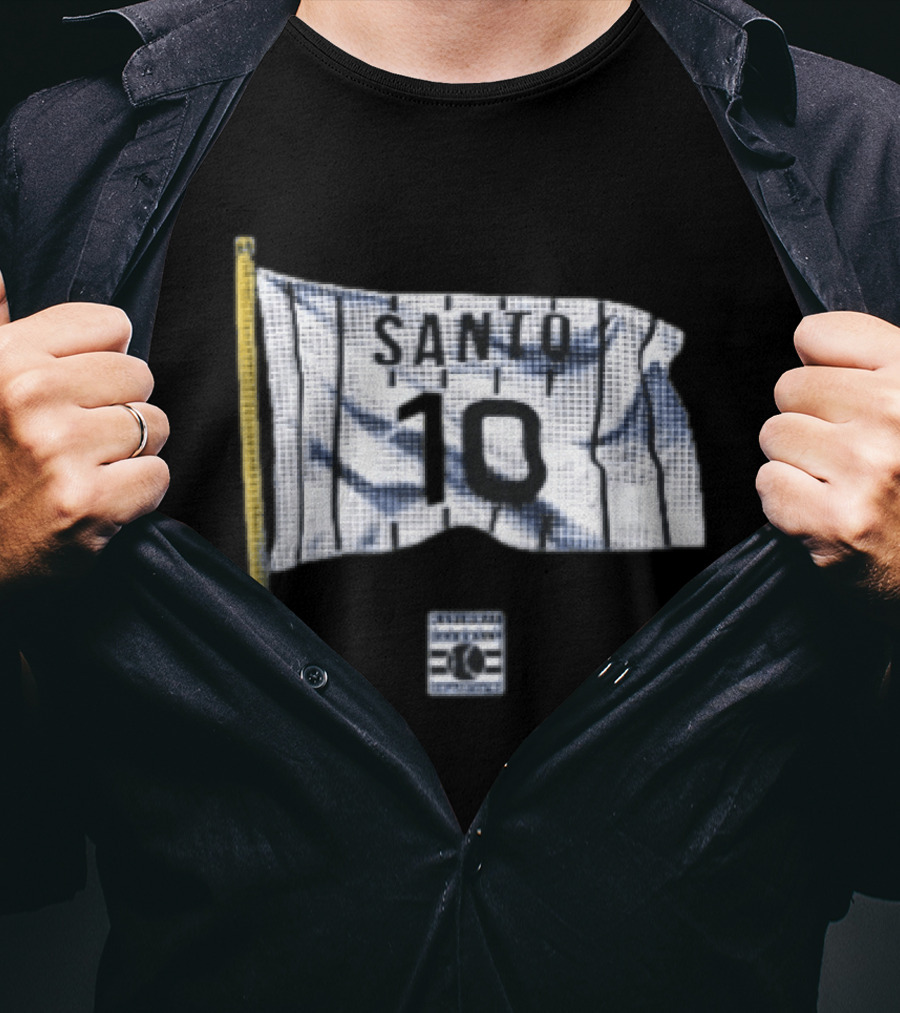 Santo 10 Baseball Hall Of Fame Pinstripe Flag T-Shirt