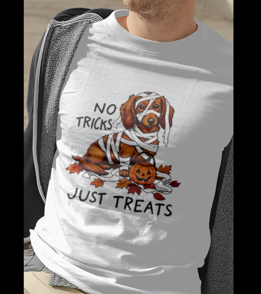 No Tricks Just Treats Dachshund Mummy Halloween Pumpkin Dog T-Shirt