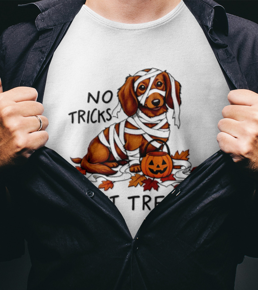 No Tricks Just Treats Dachshund Mummy Halloween Pumpkin Dog T-Shirt