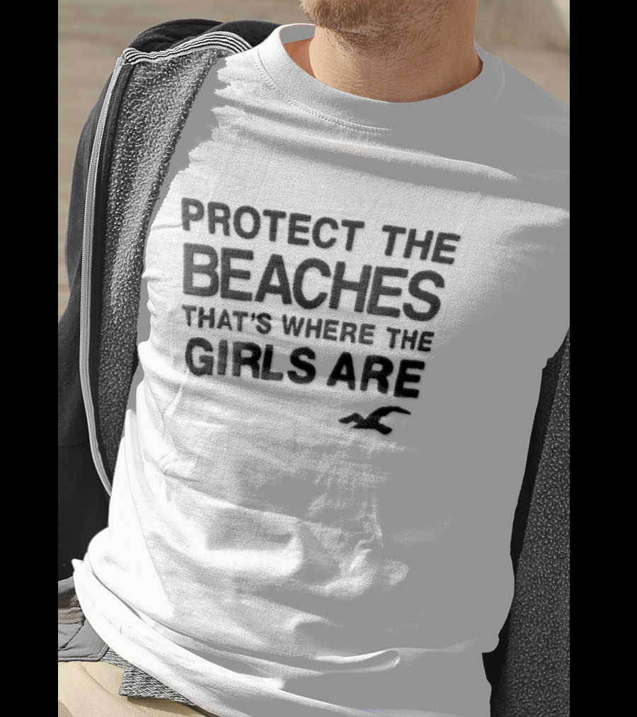Hollister Co Protect The Beaches Girls Are Flying Seagull T-Shirt