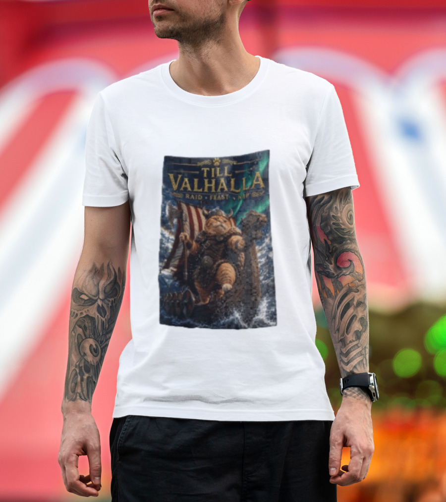 Till Valhalla Raid Feast Nap Viking Cat On Longship With Northern Lights T-Shirt