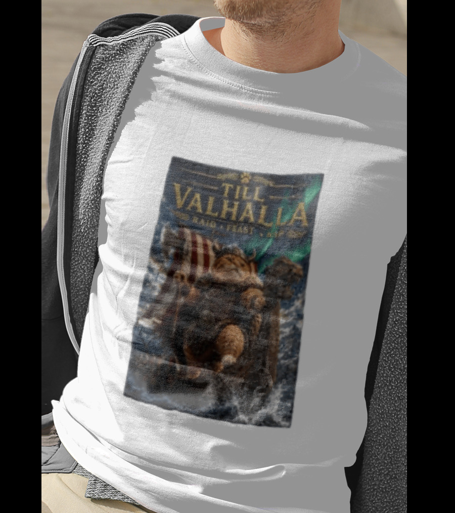 Till Valhalla Raid Feast Nap Viking Cat On Longship With Northern Lights T-Shirt