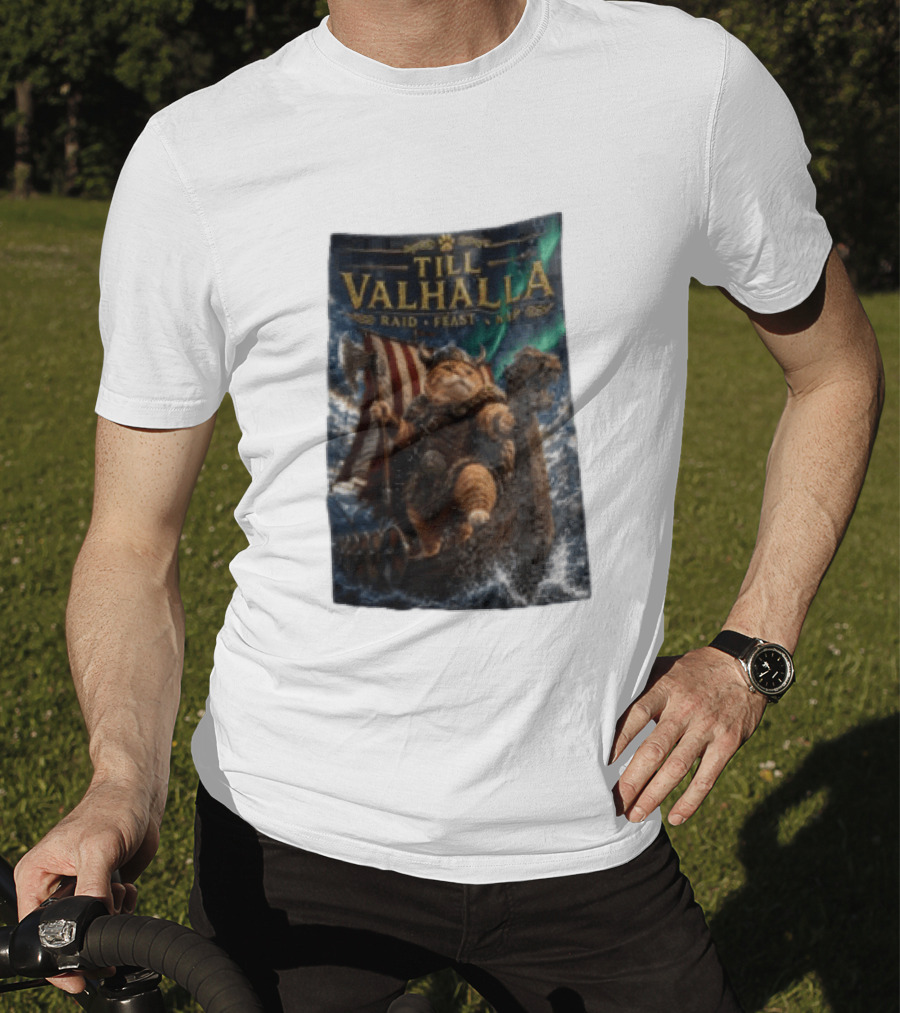 Till Valhalla Raid Feast Nap Viking Cat On Longship With Northern Lights T-Shirt