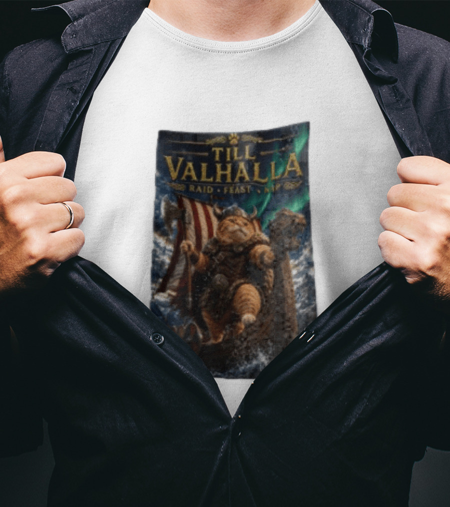 Till Valhalla Raid Feast Nap Viking Cat On Longship With Northern Lights T-Shirt