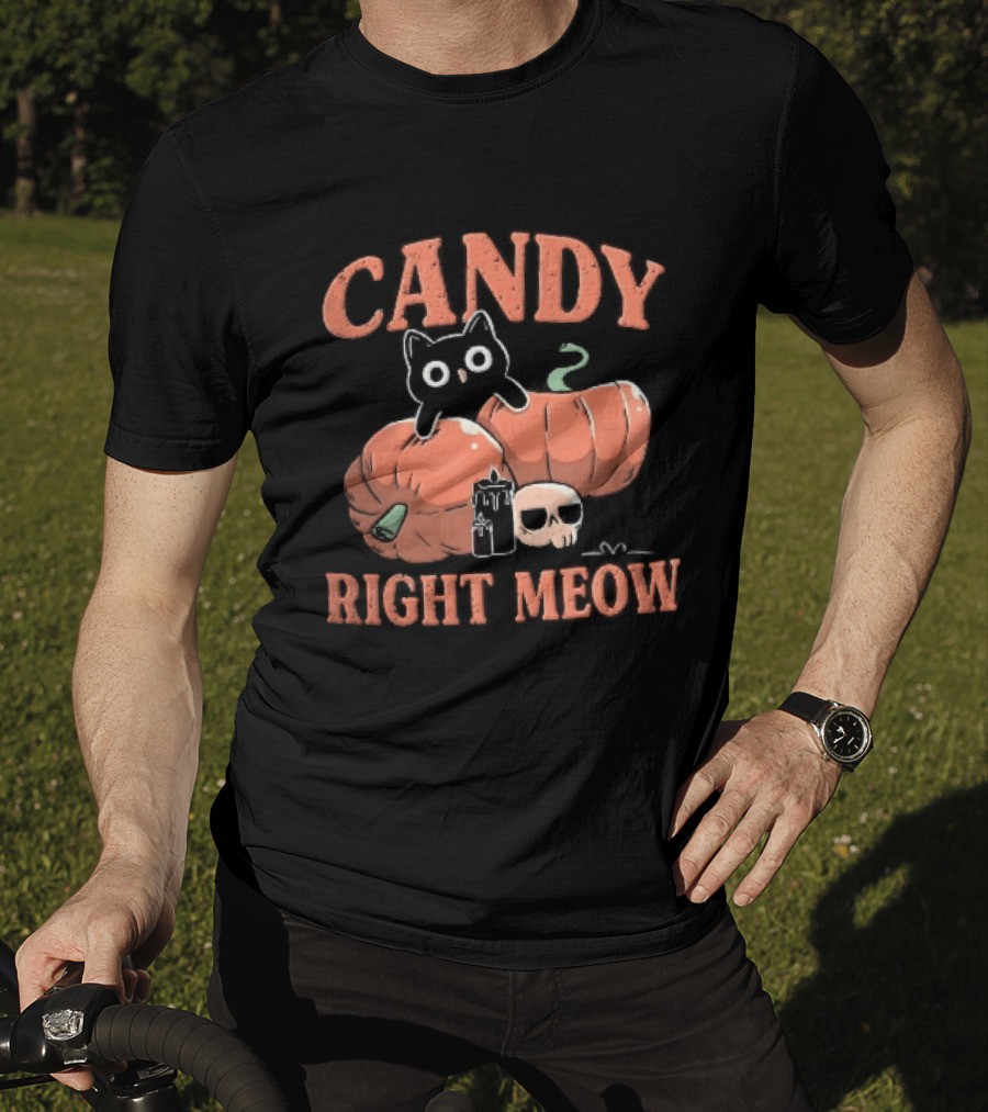 Candy Right Meow Black Cat Pumpkins Candles Skull Halloween T-Shirt