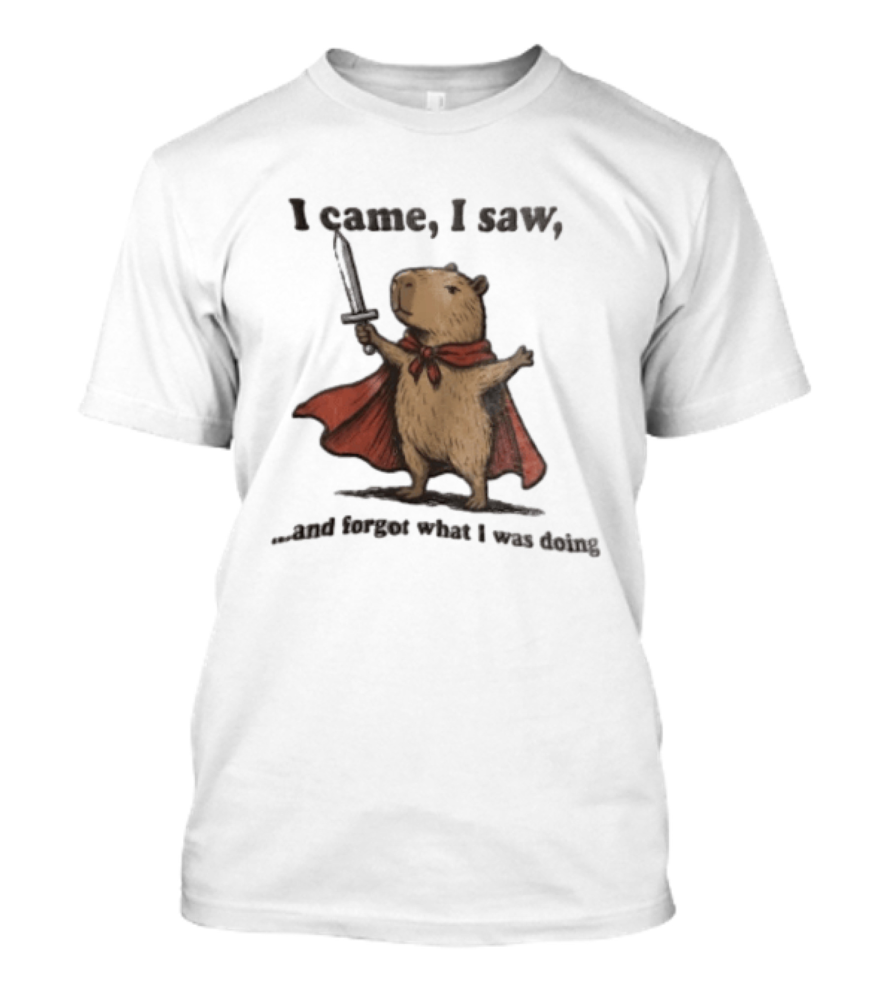 I Came I Saw Capybara Wearing Red Cape Holding Sword Forgot What I Was Doing T-Shirt