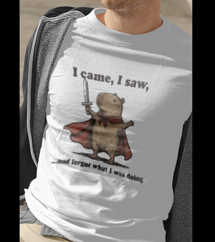 I Came I Saw Capybara Wearing Red Cape Holding Sword Forgot What I Was Doing T-Shirt