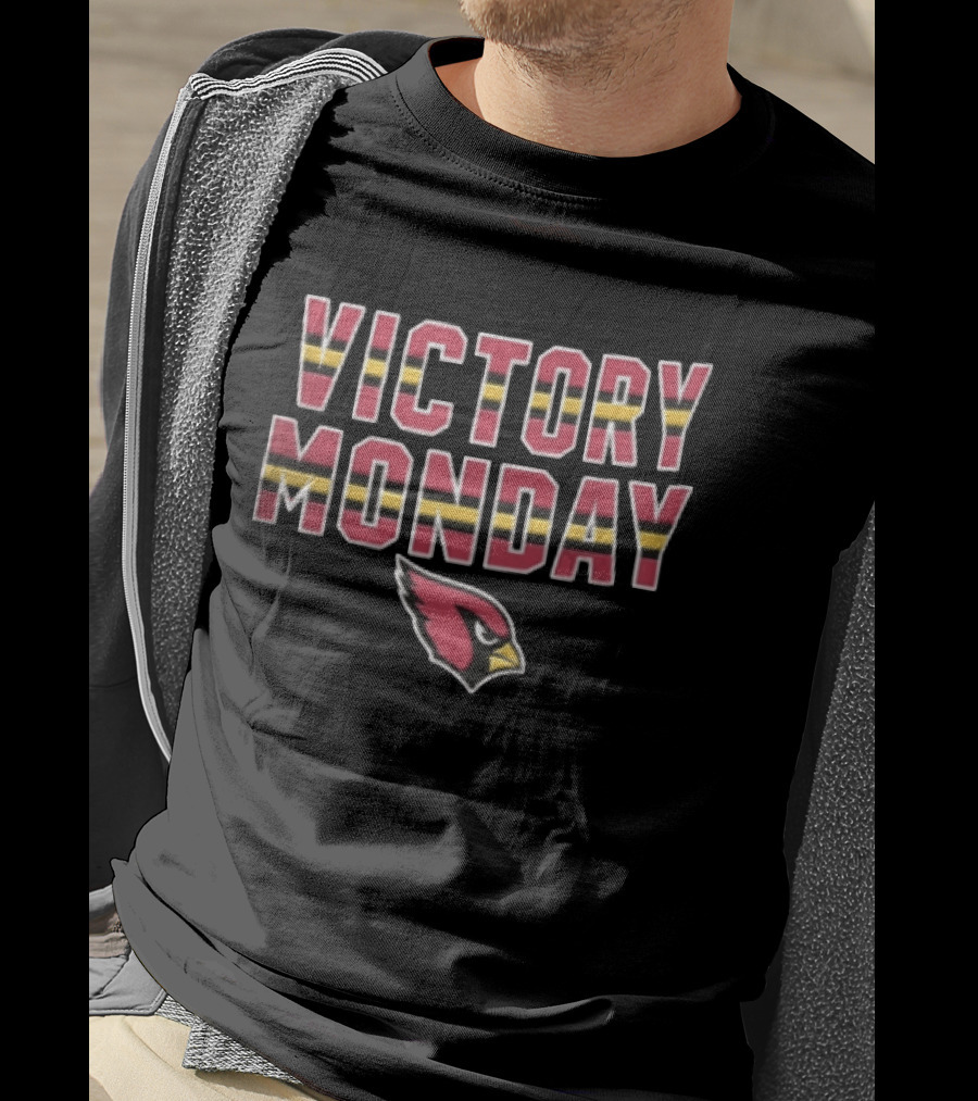 Victory Monday Arizona Cardinals Bird Head Striped T-Shirt