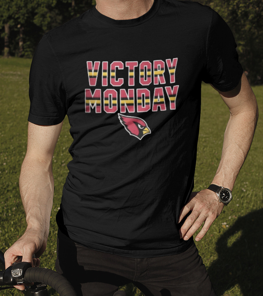 Victory Monday Arizona Cardinals Bird Head Striped T-Shirt