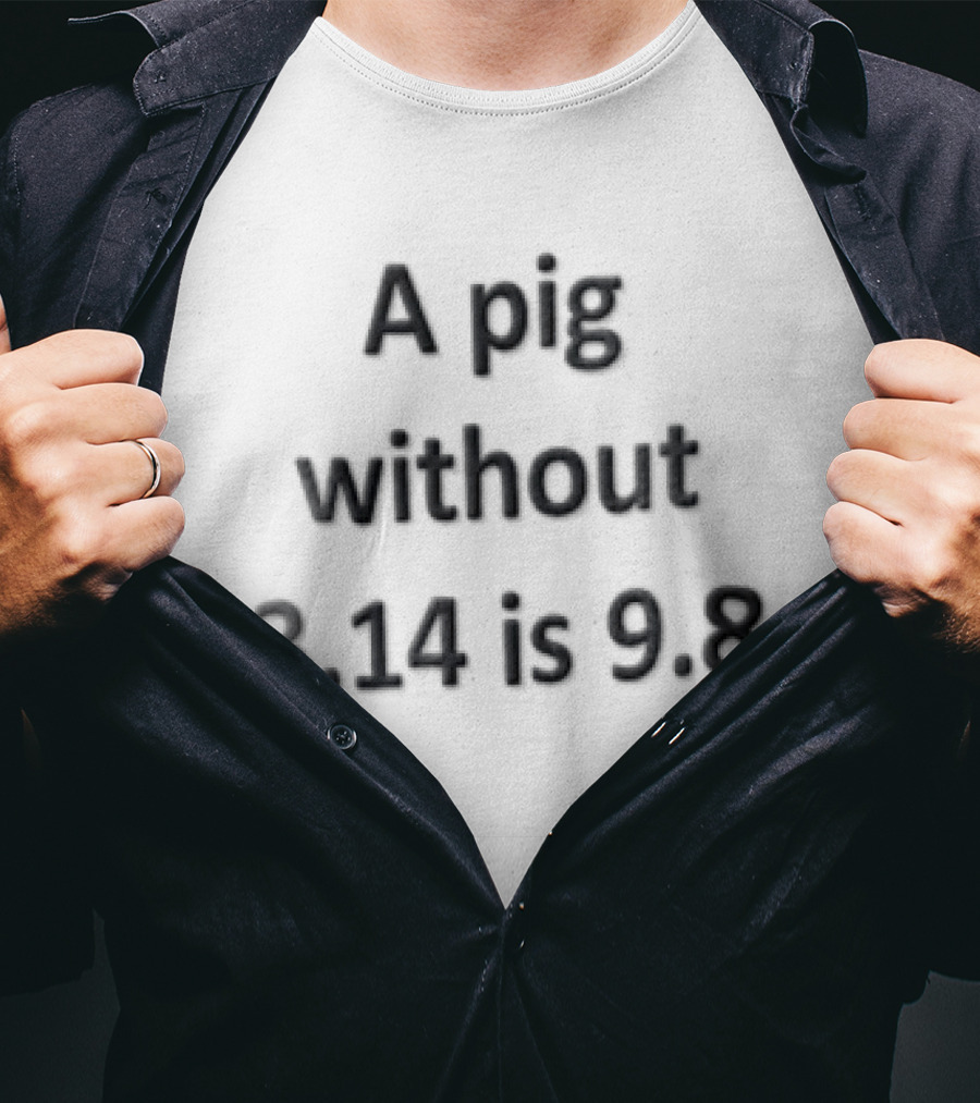A Pig Without 3.14 Is 9.8 Black Minimalist Clever Play On Words T-Shirt