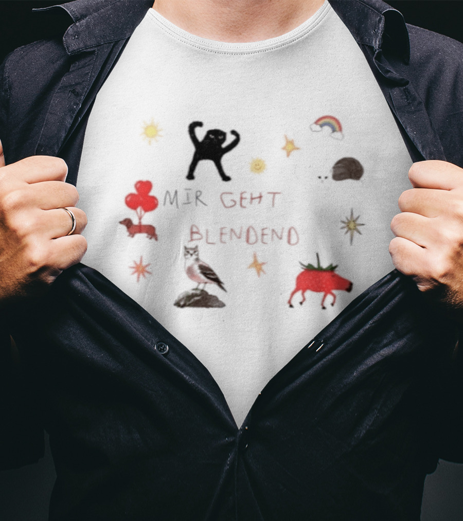 Mir Geht Es Blendend Cat Snail Strawberry Pig With Rainbow And Sun Doodles T-Shirt