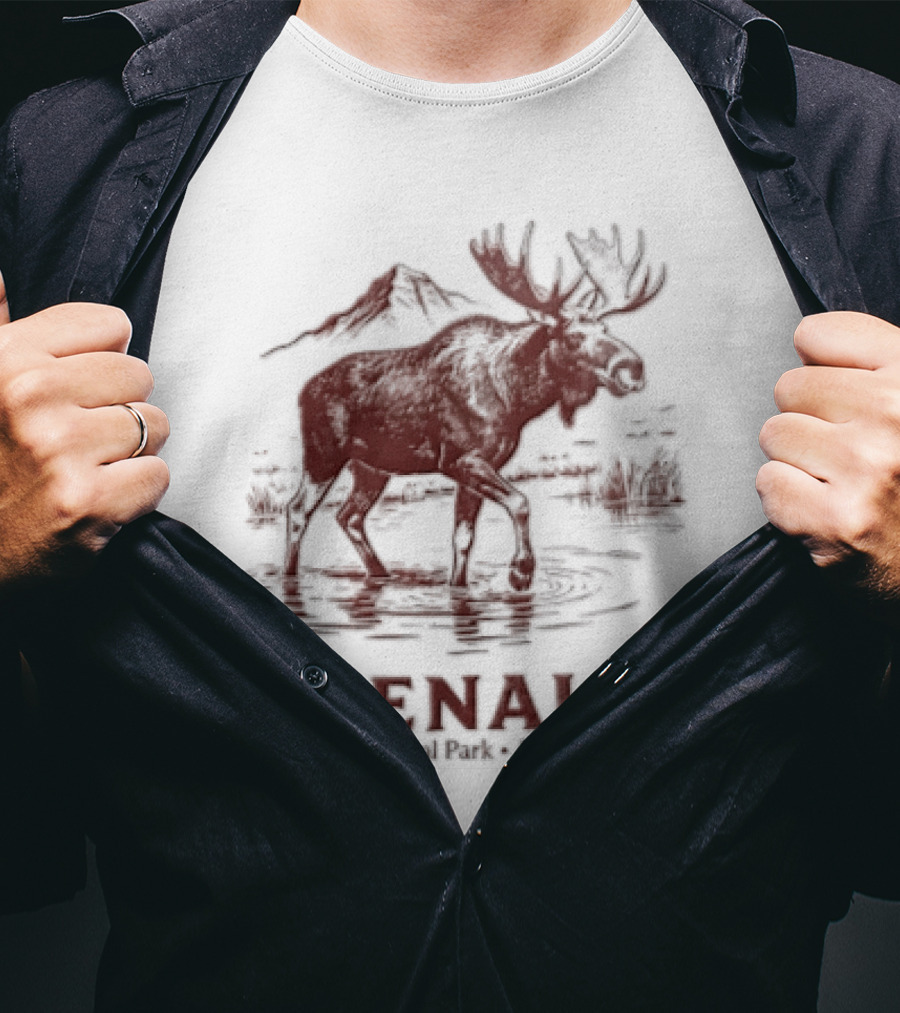Denali Moose Walking In Water Near Mountain Scenery T-Shirt