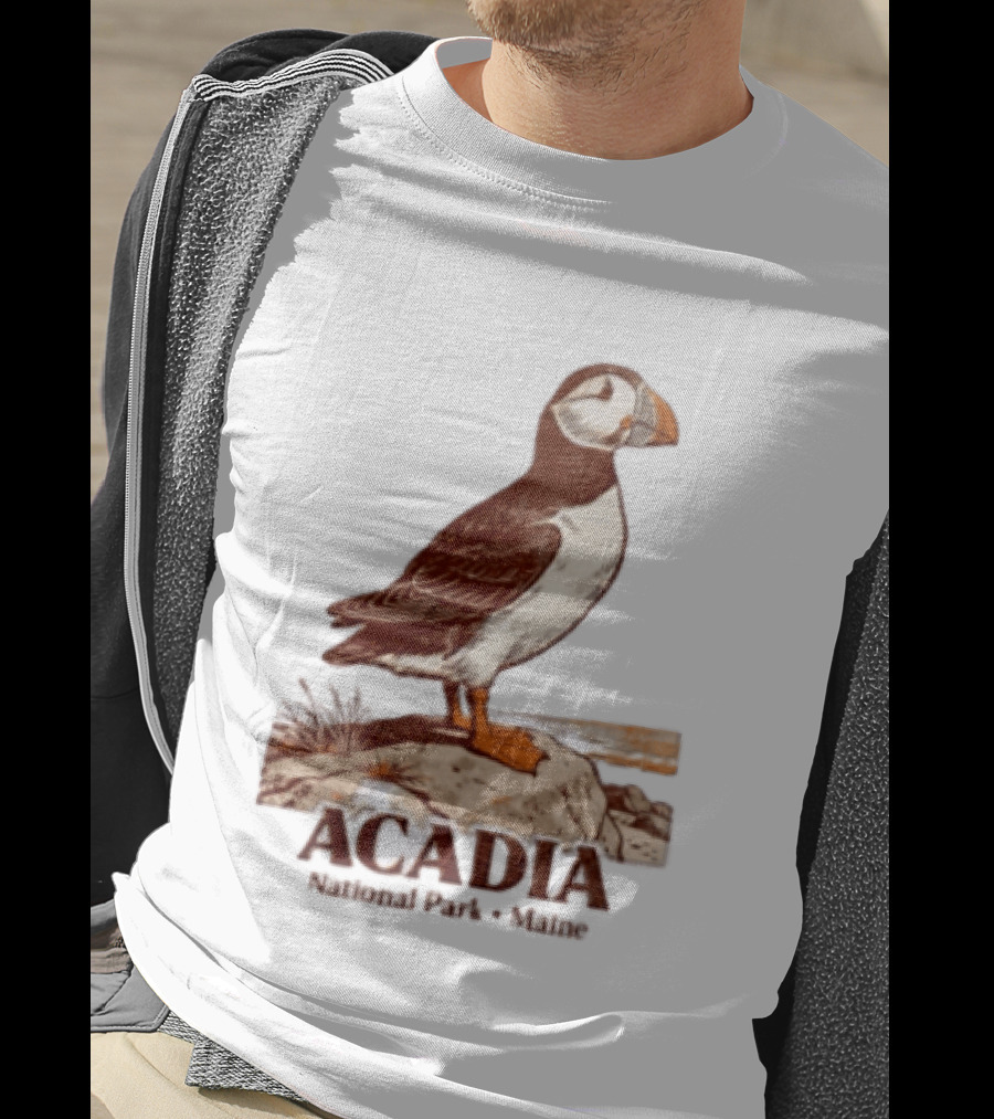 Acadia National Park Maine Puffin Standing On Rock T-Shirt